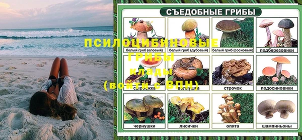 дживик Покачи
