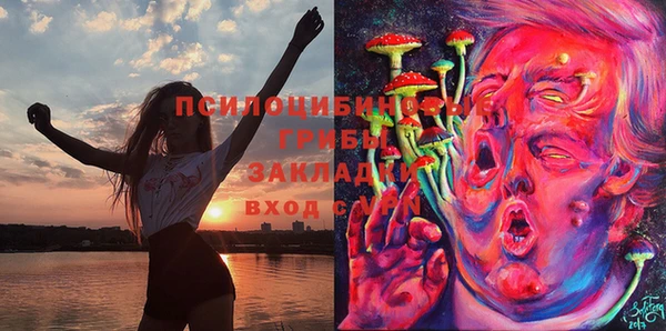 бошки Абдулино