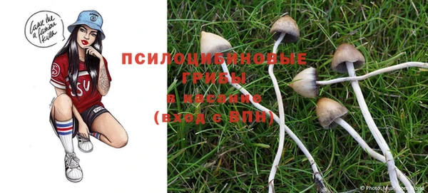 бошки Абдулино